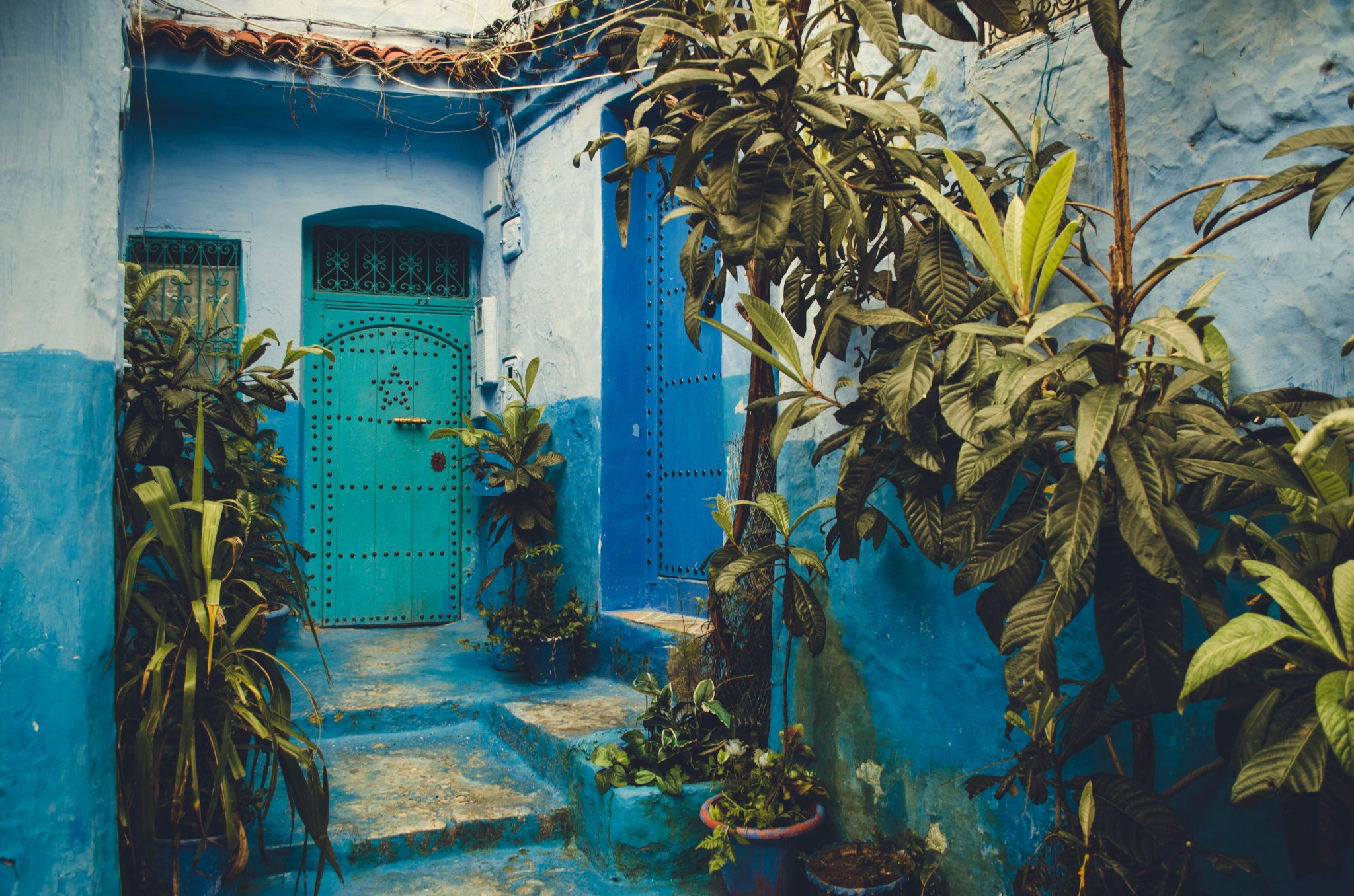 Morocco Travel Blog by Afsou Travels Morocco
