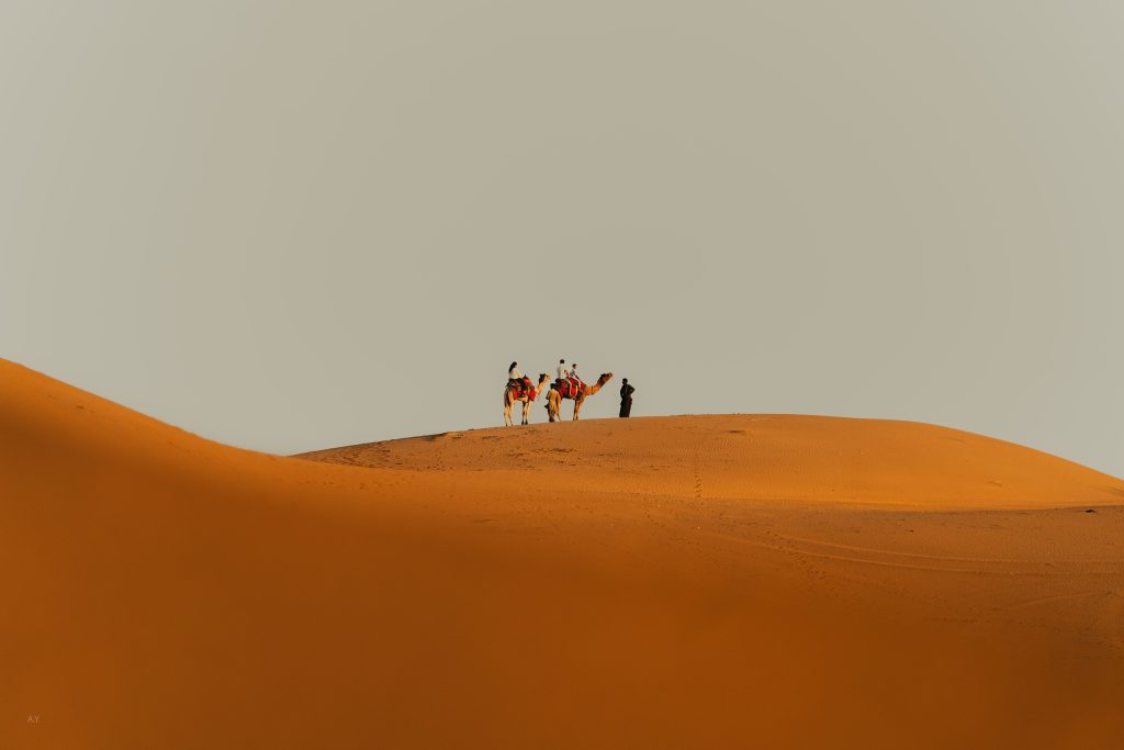 Sand dunes at sunset in the Moroccan Sahara