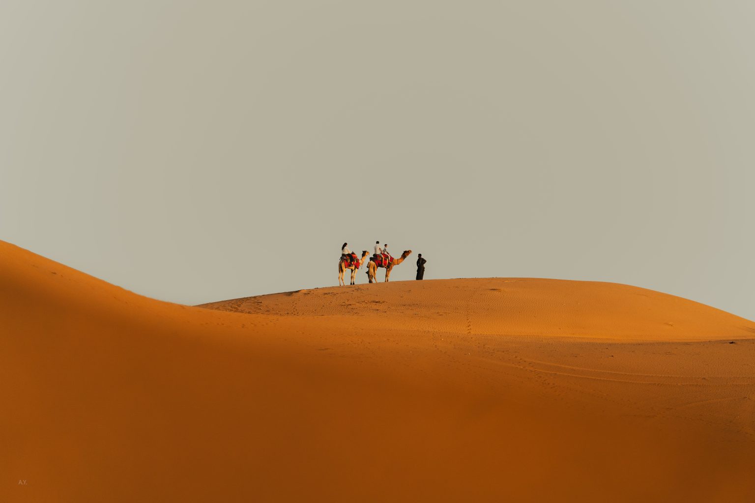 Sahara Desert