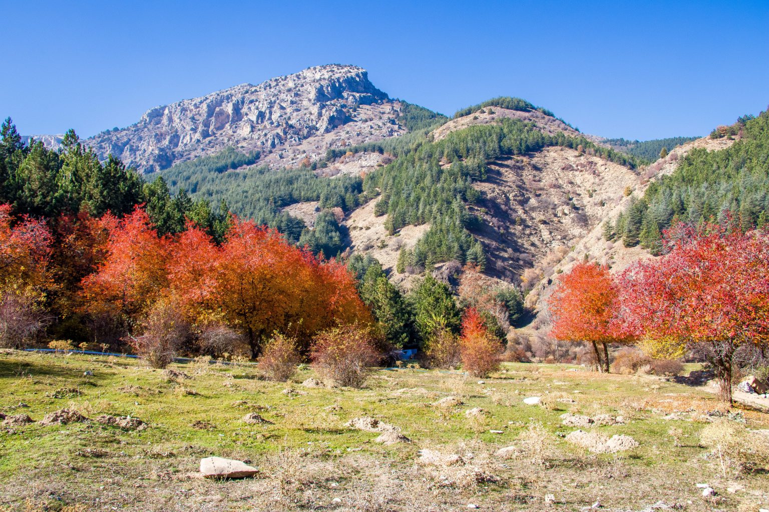 Autumn colour on the slopes of the High Atlas
